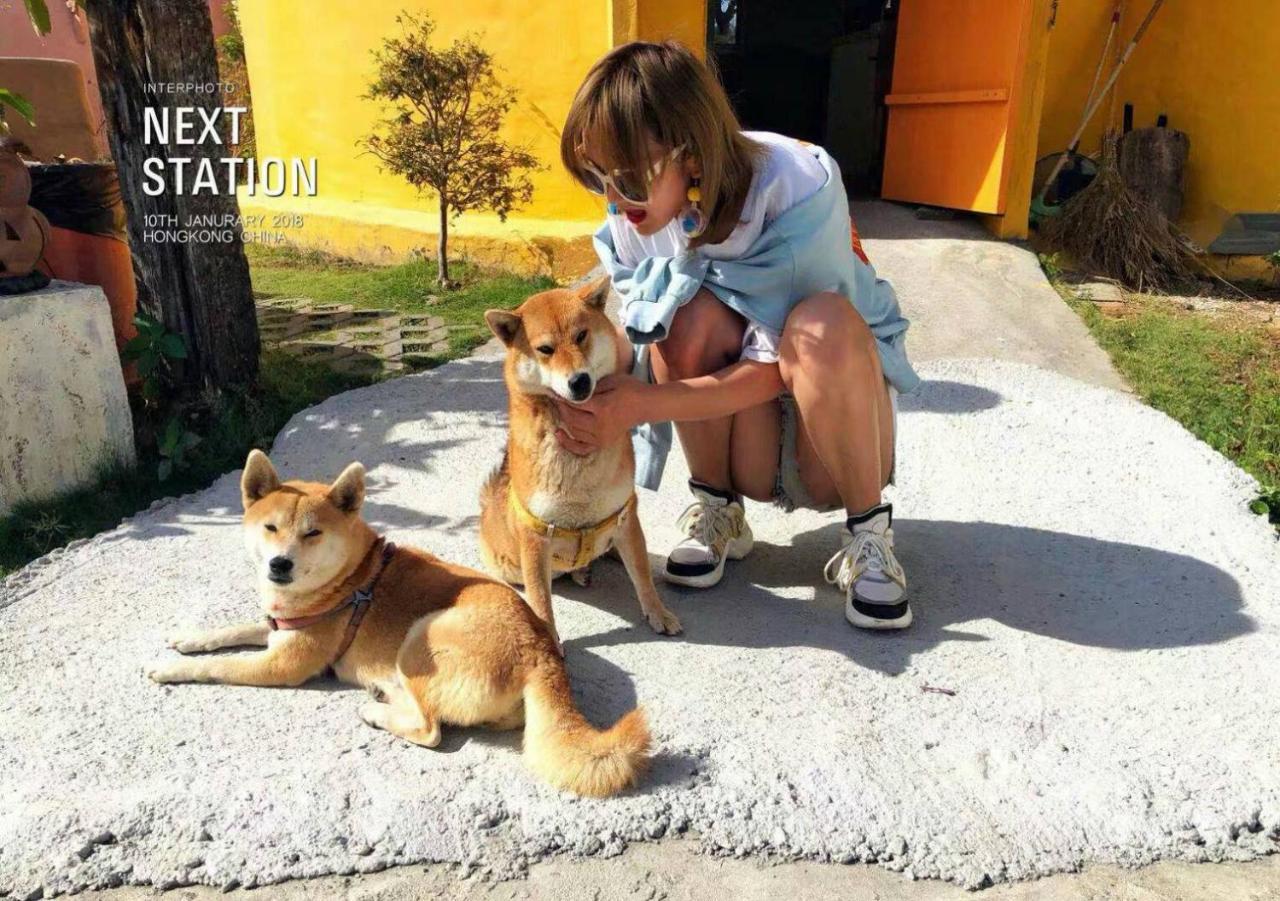 Kenting Ha-Bi Star Fort Kota Tua Kota Tua Hengchun Bagian luar foto